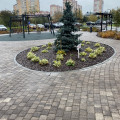 Классико гранит Хаски